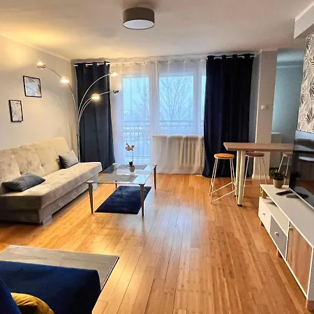 Z Widokiem Na Spodek