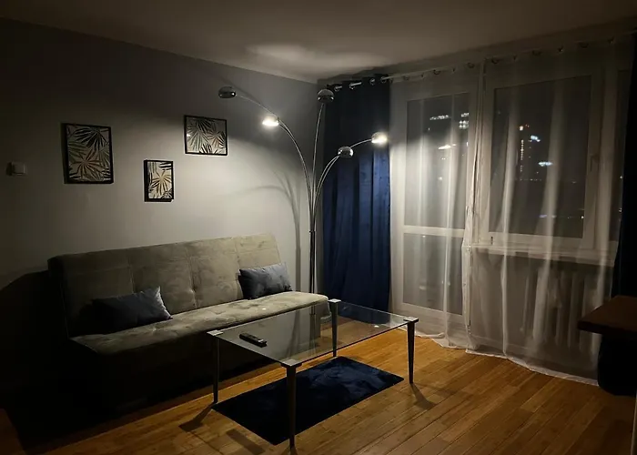 Z Widokiem Na Spodek Katowice